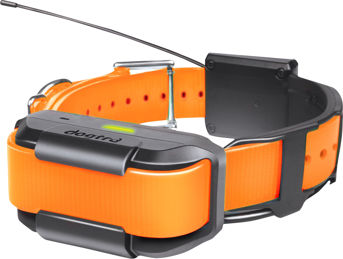 Dogtra Pathfinder Extra Collar Cabela's